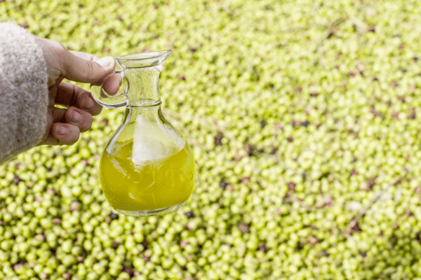 Olive Oil 101 | Behind The Mill